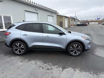 2022 Ford Escape SE - Photo 3 - Clarenville, NL A5A 2C4