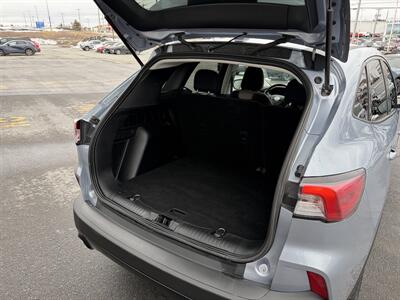 2022 Ford Escape SE - Photo 14 - Clarenville, NL A5A 2C4
