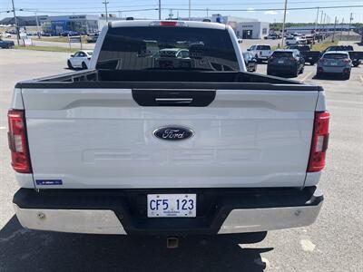 2021 Ford F-150 XL   - Photo 13 - Clarenville, NL A5A 2C4
