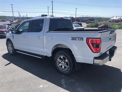2021 Ford F-150 XL   - Photo 3 - Clarenville, NL A5A 2C4