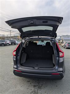 2023 Honda CR-V LX - Photo 5 - St John's, NL A1B 1C2