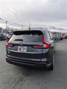 2023 Honda CR-V LX - Photo 4 - St John's, NL A1B 1C2