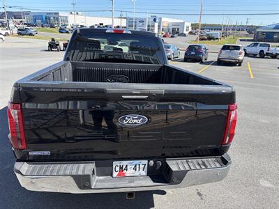 2024 Ford F-150 XLT - Photo 14 - Clarenville, NL A5A 2C4