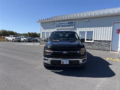 2024 Ford F-150 XLT Truck