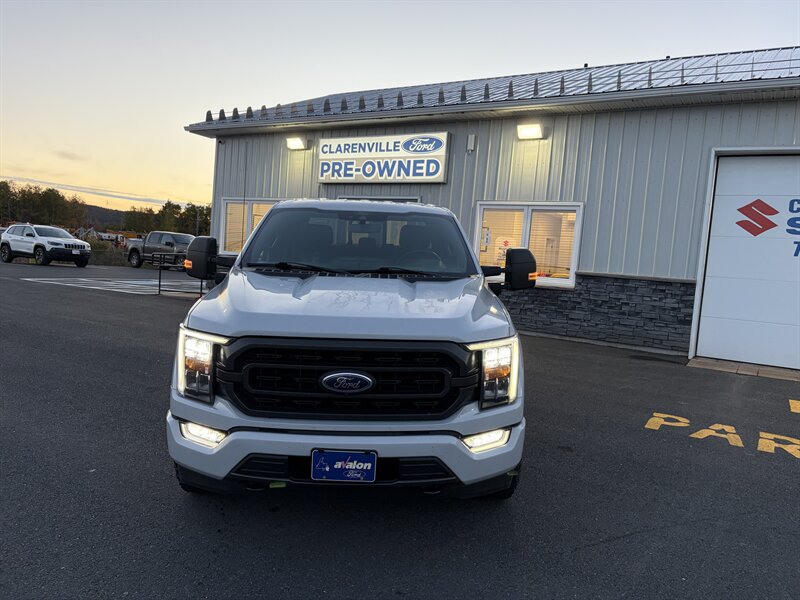 2021 Ford F-150 XLT Sport  