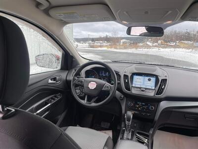 2019 Ford Escape SE   - Photo 5 - Clarenville, NL A5A 2C4