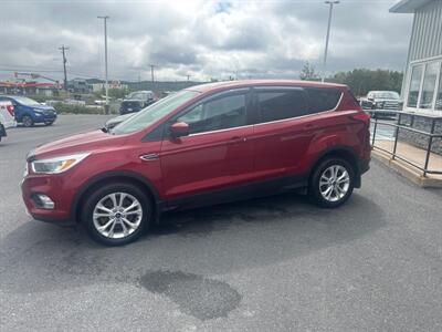 2019 Ford Escape SE   - Photo 2 - Clarenville, NL A5A 2C4