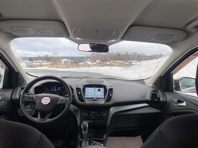 2019 Ford Escape SE   - Photo 4 - Clarenville, NL A5A 2C4