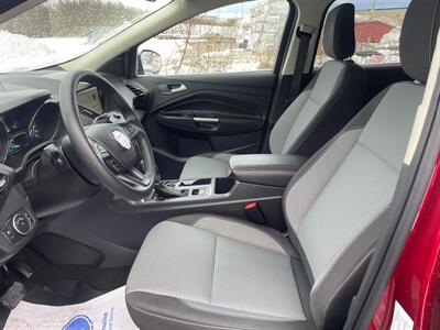 2019 Ford Escape SE   - Photo 6 - Clarenville, NL A5A 2C4