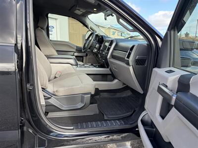 2019 Ford F-250 Super Duty XLT - Photo 5 - Clarenville, NL A5A 2C4