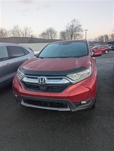 2019 Honda CR-V EX   - Photo 2 - St John's, NL A1B 1C2