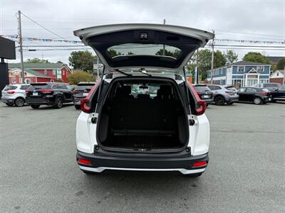2021 Honda CR-V LX   - Photo 15 - St John's, NL A1B 1C2