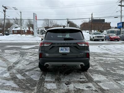 2020 Ford Escape SEL   - Photo 6 - St John's, NL A1B 1C2