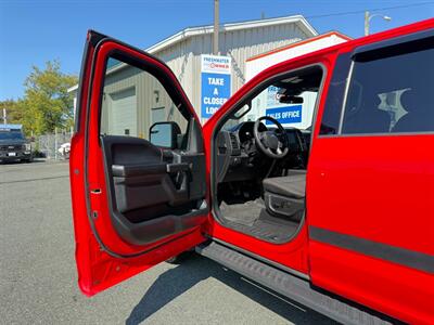 2019 Ford F-150 XLT   - Photo 22 - St John's, NL A1B 1C2