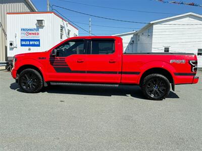 2019 Ford F-150 XLT   - Photo 8 - St John's, NL A1B 1C2