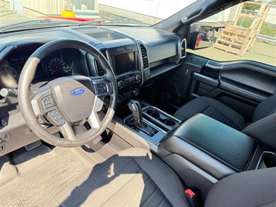 2019 Ford F-150 XLT   - Photo 24 - St John's, NL A1B 1C2