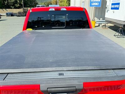 2019 Ford F-150 XLT   - Photo 14 - St John's, NL A1B 1C2