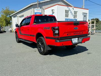 2019 Ford F-150 XLT   - Photo 7 - St John's, NL A1B 1C2