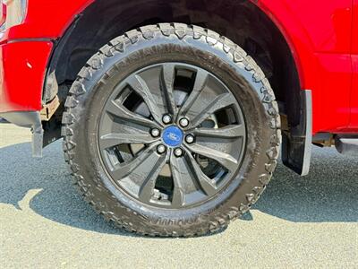 2019 Ford F-150 XLT   - Photo 10 - St John's, NL A1B 1C2