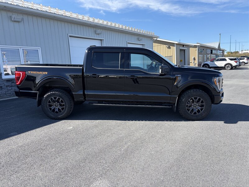 2023 Ford F-150 Tremor - Photo 3 - Clarenville, NL A5A 2C4
