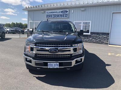 2020 Ford F-150 XLT Truck