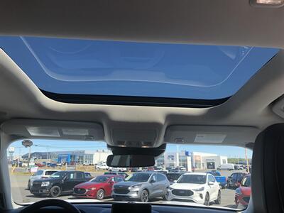 2021 Ford Bronco Sport Badlands   - Photo 21 - Clarenville, NL A5A 2C4