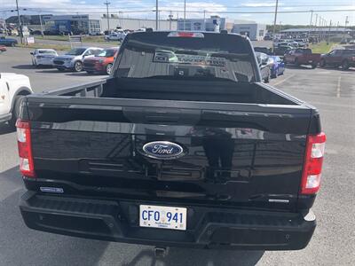 2021 Ford F-150 STX   - Photo 14 - Clarenville, NL A5A 2C4