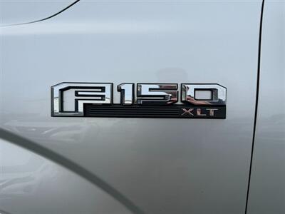 2019 Ford F-150 XL   - Photo 10 - St John's, NL A1B 1C2