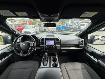 2019 Ford F-150 XL   - Photo 19 - St John's, NL A1B 1C2
