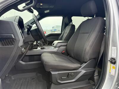2019 Ford F-150 XL   - Photo 17 - St John's, NL A1B 1C2