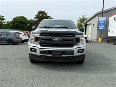 2019 Ford F-150 XL   - Photo 2 - St John's, NL A1B 1C2