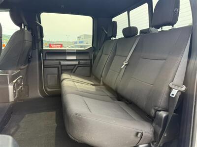 2019 Ford F-150 XL   - Photo 15 - St John's, NL A1B 1C2