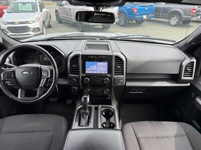 2019 Ford F-150 XL   - Photo 20 - St John's, NL A1B 1C2
