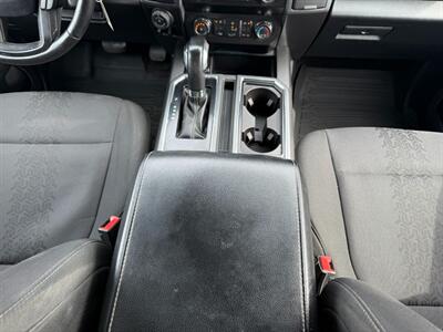 2019 Ford F-150 XL   - Photo 31 - St John's, NL A1B 1C2