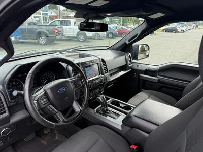 2019 Ford F-150 XL   - Photo 18 - St John's, NL A1B 1C2
