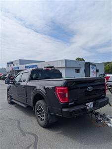 2021 Ford F-150 XL   - Photo 3 - St John's, NL A1B 1C2