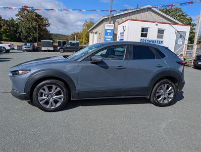 2024 Mazda CX-30 2.5 S Preferred  w/ Luxury Package - Photo 3 - St John's, NL A1B 1C2