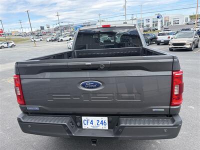 2021 Ford F-150 XLT - Photo 14 - Clarenville, NL A5A 2C4