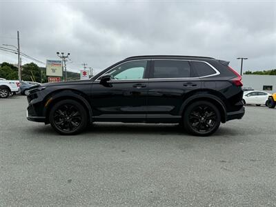 2023 Honda CR-V Hybrid Sport Touring   - Photo 8 - St John's, NL A1B 1C2