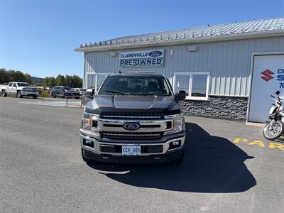 2019 Ford F-150 XL Truck