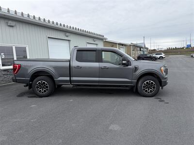 2023 Ford F-150 XLT Sport - Photo 3 - Clarenville, NL A5A 2C4