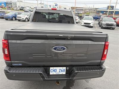 2023 Ford F-150 XLT Sport - Photo 14 - Clarenville, NL A5A 2C4
