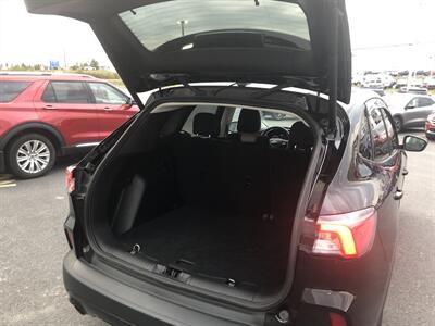 2022 Ford Escape SE   - Photo 16 - Clarenville, NL A5A 2C4