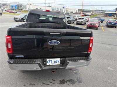 2021 Ford F-150 XLT   - Photo 14 - Clarenville, NL A5A 2C4