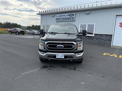 2021 Ford F-150 XLT Truck