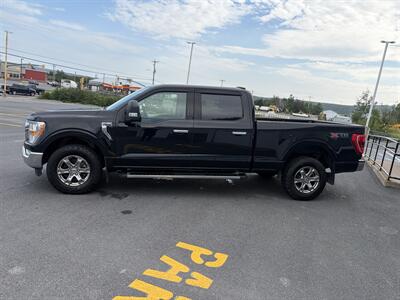 2021 Ford F-150 XLT   - Photo 3 - Clarenville, NL A5A 2C4
