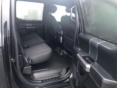 2020 Ford F-150 XLT Sport   - Photo 14 - Clarenville, NL A5A 2C4