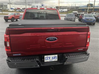 2021 Ford F-150 XLT - Photo 6 - Clarenville, NL A5A 2C4