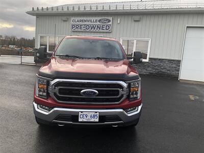 2021 Ford F-150 XLT Truck