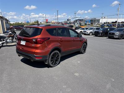 2019 Ford Escape SE   - Photo 4 - Clarenville, NL A5A 2C4